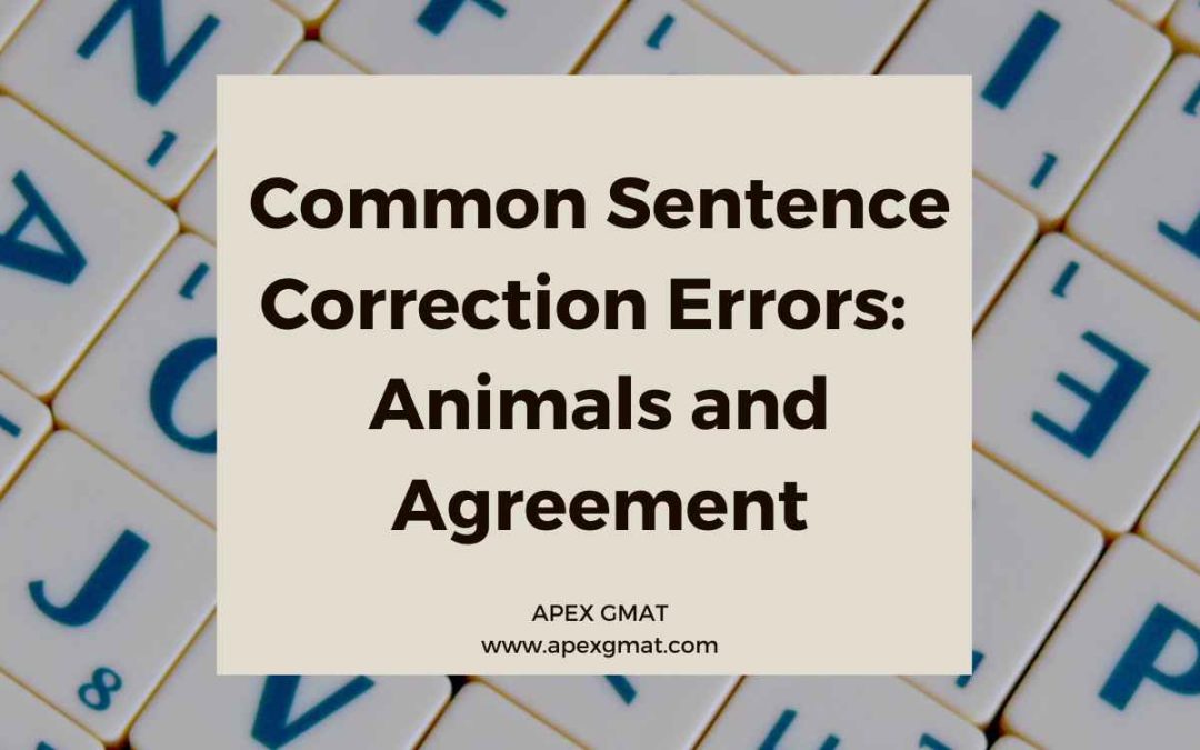 Common Sentence Correction Errors: Animals and Agreement